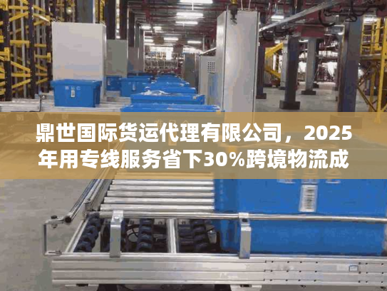 鼎世国际货运代理有限公司,2025年用专线服务省下30%跨境物流成本的秘诀 鼎世国际货运代理有限公司,2025年用专线服务省下30%跨境物流成本的秘诀