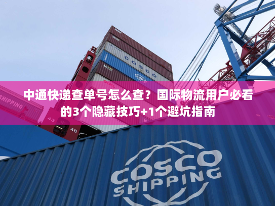 中通快递查单号怎么查？国际物流用户必看的3个隐藏技巧+1个避坑指南