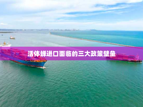 活体蝉进口面临的三大政策壁垒 活体蝉进口面临的三大政策壁垒