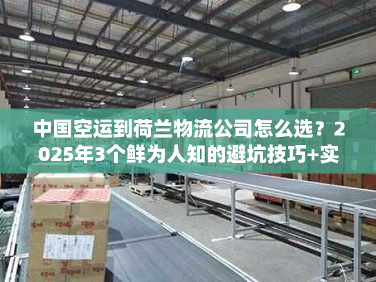 中国空运到荷兰物流公司怎么选？2025年3个鲜为人知的避坑技巧+实战案例