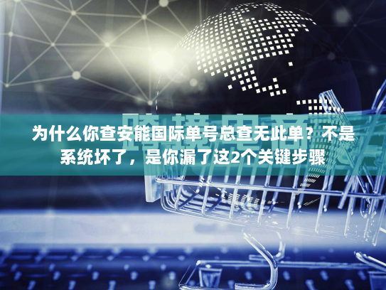 为什么你查安能国际单号总查无此单？不是系统坏了，是你漏了这2个关键步骤