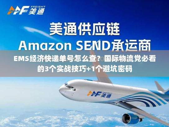 EMS经济快递单号怎么查？国际物流党必看的3个实战技巧+1个避坑密码