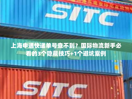 上海申通快递单号查不到？国际物流新手必看的3个隐藏技巧+1个避坑案例