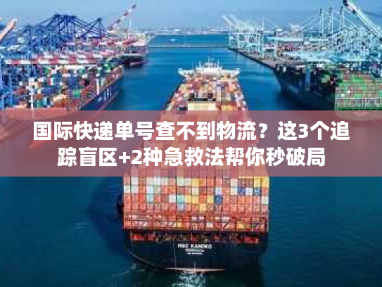 国际快递单号查不到物流？这3个追踪盲区+2种急救法帮你秒破局