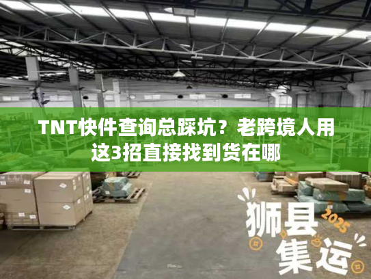 TNT快件查询总踩坑？老跨境人用这3招直接找到货在哪