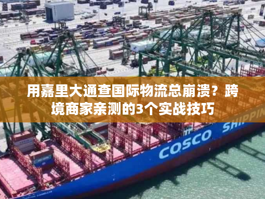 用嘉里大通查国际物流总崩溃?跨境商家亲测的3个实战技巧 用嘉里大通查国际物流总崩溃?跨境商家亲测的3个实战技巧