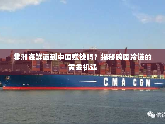 非洲海鲜运到中国赚钱吗？揭秘跨国冷链的黄金机遇