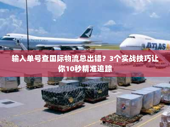 输入单号查国际物流总出错？3个实战技巧让你10秒精准追踪