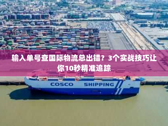 输入单号查国际物流总出错？3个实战技巧让你10秒精准追踪