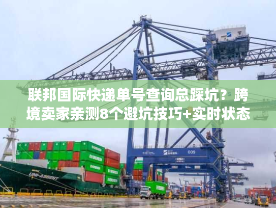 联邦国际快递单号查询总踩坑？跨境卖家亲测8个避坑技巧+实时状态解读