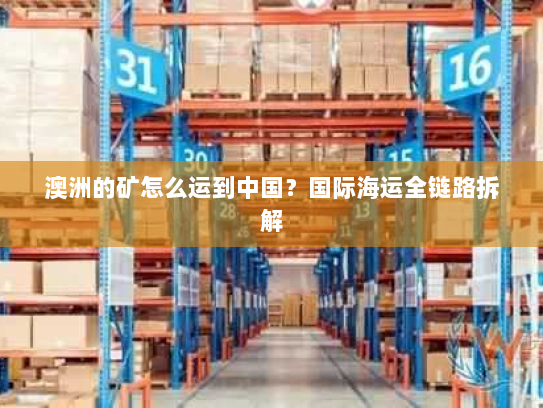 澳洲的矿怎么运到中国？国际海运全链路拆解