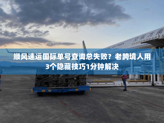 顺风速运国际单号查询总失败?老跨境人用3个隐藏技巧1分钟解决 顺风速运国际单号查询总失败?老跨境人用3个隐藏技巧1分钟解决
