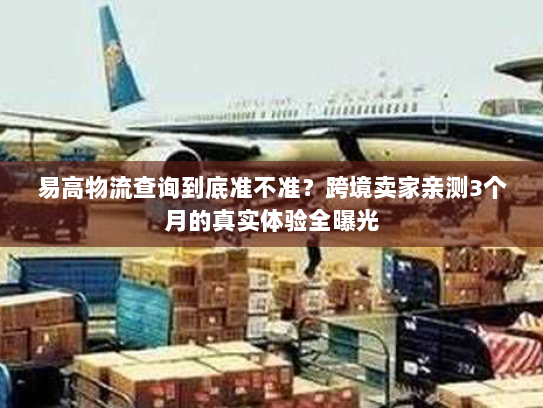 易高物流查询到底准不准？跨境卖家亲测3个月的真实体验全曝光