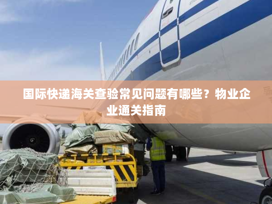 国际快递海关查验常见问题有哪些?物业企业通关指南 国际快递海关查验常见问题有哪些?物业企业通关指南