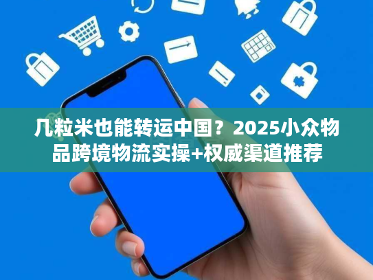 几粒米也能转运中国？2025小众物品跨境物流实操+权威渠道推荐