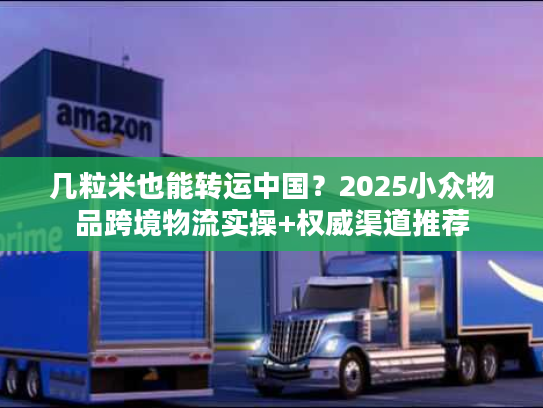 几粒米也能转运中国？2025小众物品跨境物流实操+权威渠道推荐