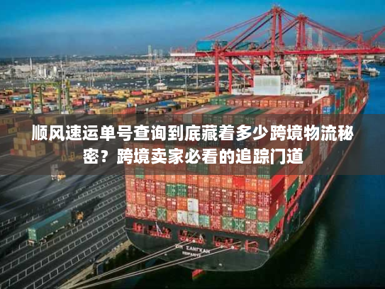 顺风速运单号查询到底藏着多少跨境物流秘密？跨境卖家必看的追踪门道