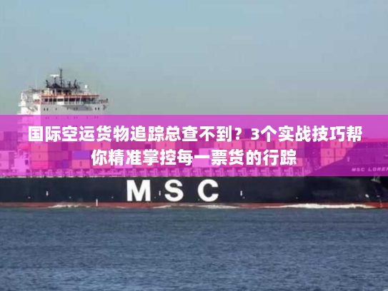 国际空运货物追踪总查不到？3个实战技巧帮你精准掌控每一票货的行踪