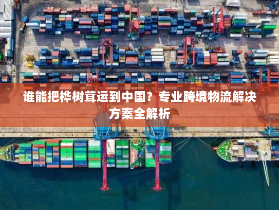 谁能把桦树茸运到中国？专业跨境物流解决方案全解析