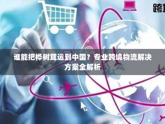 谁能把桦树茸运到中国？专业跨境物流解决方案全解析