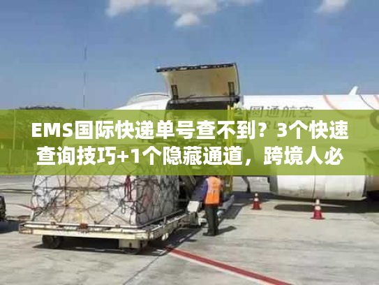 EMS国际快递单号查不到？3个快速查询技巧+1个隐藏通道，跨境人必看