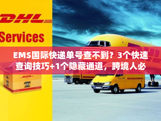 EMS国际快递单号查不到？3个快速查询技巧+1个隐藏通道，跨境人必看