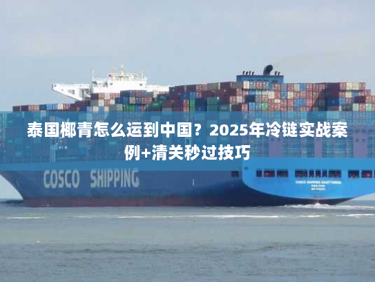 泰国椰青怎么运到中国？2025年冷链实战案例+清关秒过技巧