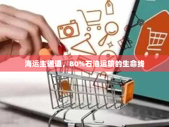 海运主通道,80%石油运输的生命线 海运主通道,80%石油运输的生命线