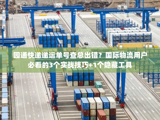 园通快递递运单号查总出错？国际物流用户必看的3个实战技巧+1个隐藏工具