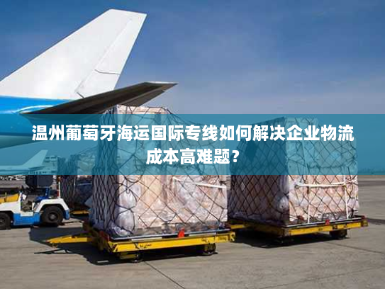 温州葡萄牙海运国际专线如何解决企业物流成本高难题？
