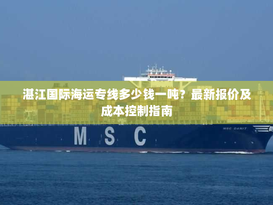 湛江国际海运专线多少钱一吨?最新报价及成本控制指南 湛江国际海运专线多少钱一吨?最新报价及成本控制指南