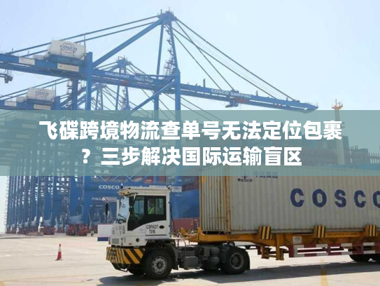 飞碟跨境物流查单号无法定位包裹？三步解决国际运输盲区
