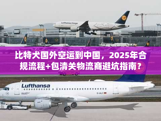比特犬国外空运到中国，2025年合规流程+包清关物流商避坑指南？