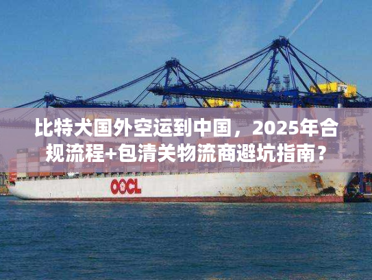 比特犬国外空运到中国，2025年合规流程+包清关物流商避坑指南？