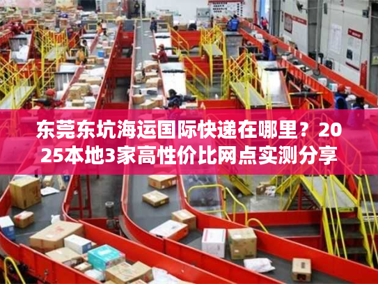 东莞东坑海运国际快递在哪里?2025本地3家高性价比网点实测分享 东莞东坑海运国际快递在哪里?2025本地3家高性价比网点实测分享
