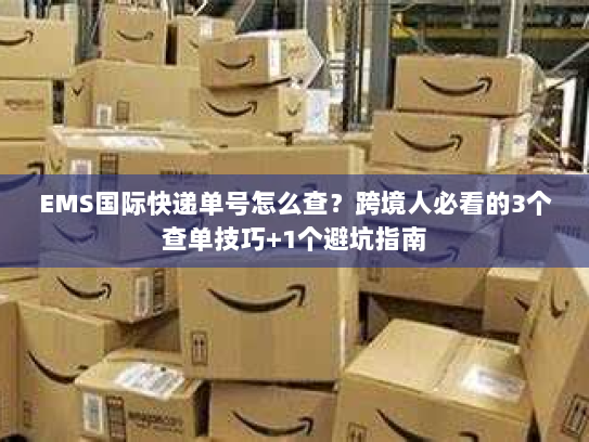 EMS国际快递单号怎么查？跨境人必看的3个查单技巧+1个避坑指南