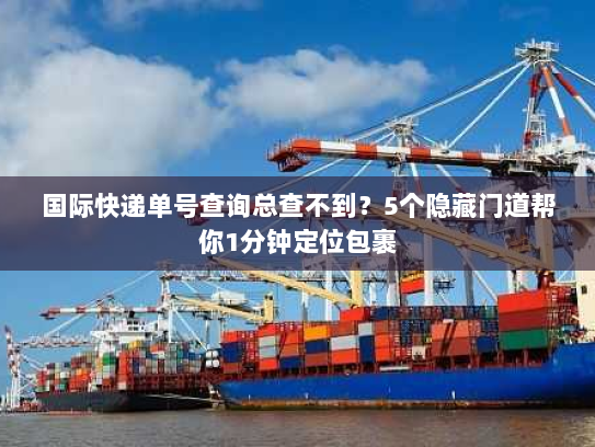 国际快递单号查询总查不到？5个隐藏门道帮你1分钟定位包裹
