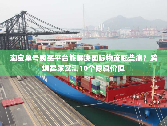 淘宝单号购买平台能解决国际物流哪些痛？跨境卖家实测10个隐藏价值