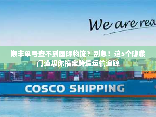 顺丰单号查不到国际物流？别急！这5个隐藏门道帮你搞定跨境运输追踪