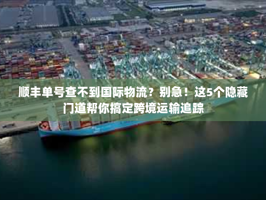 顺丰单号查不到国际物流？别急！这5个隐藏门道帮你搞定跨境运输追踪