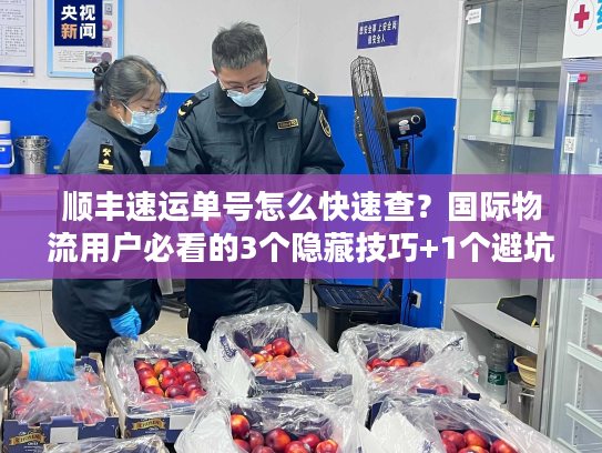 顺丰速运单号怎么快速查?国际物流用户必看的3个隐藏技巧+1个避坑指南 顺丰速运单号怎么快速查?国际物流用户必看的3个隐藏技巧+1个避坑指南