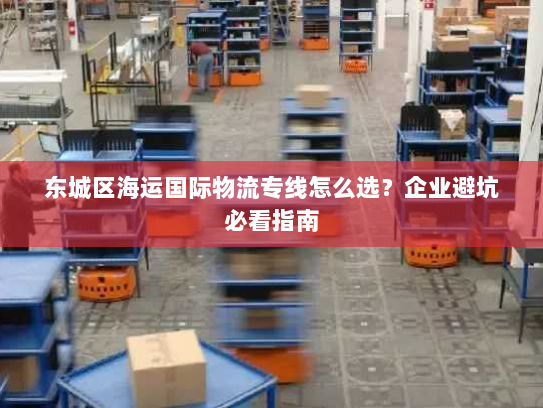 东城区海运国际物流专线怎么选？企业避坑必看指南
