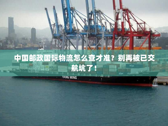 中国邮政国际物流怎么查才准？别再被已交航坑了！