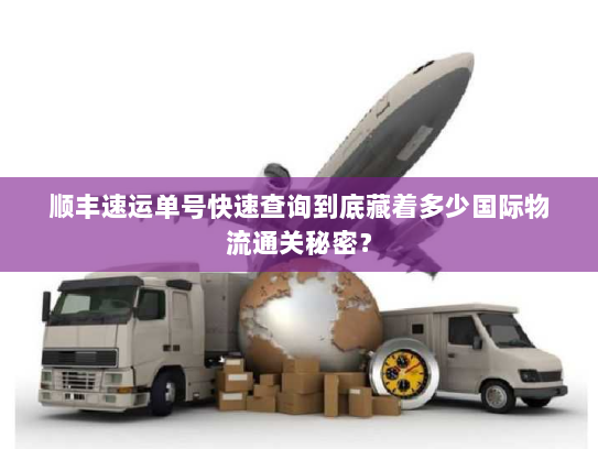 顺丰速运单号快速查询到底藏着多少国际物流通关秘密？