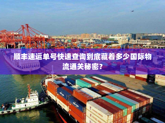 顺丰速运单号快速查询到底藏着多少国际物流通关秘密？
