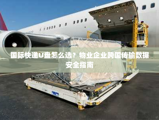 国际快递U盘怎么选?物业企业跨国传输数据安全指南 国际快递U盘怎么选?物业企业跨国传输数据安全指南