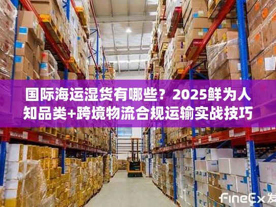 国际海运湿货有哪些？2025鲜为人知品类+跨境物流合规运输实战技巧