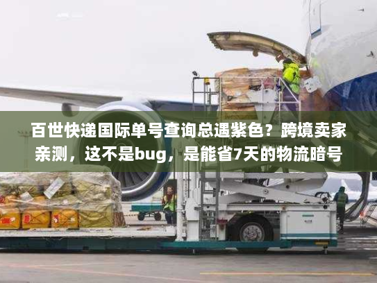 百世快递国际单号查询总遇紫色？跨境卖家亲测，这不是bug，是能省7天的物流暗号