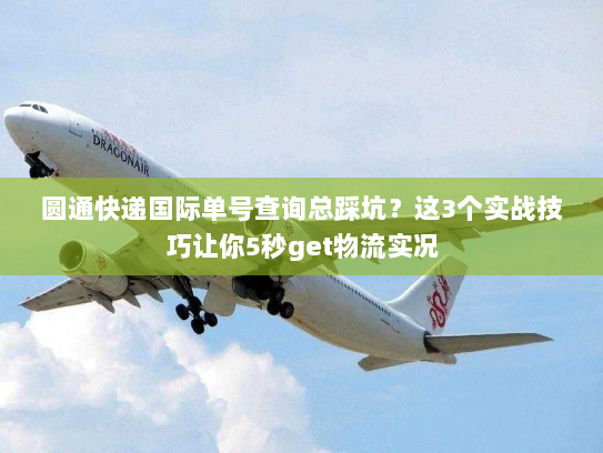 圆通快递国际单号查询总踩坑？这3个实战技巧让你5秒get物流实况