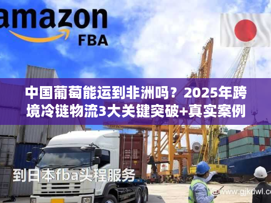 中国葡萄能运到非洲吗？2025年跨境冷链物流3大关键突破+真实案例拆解